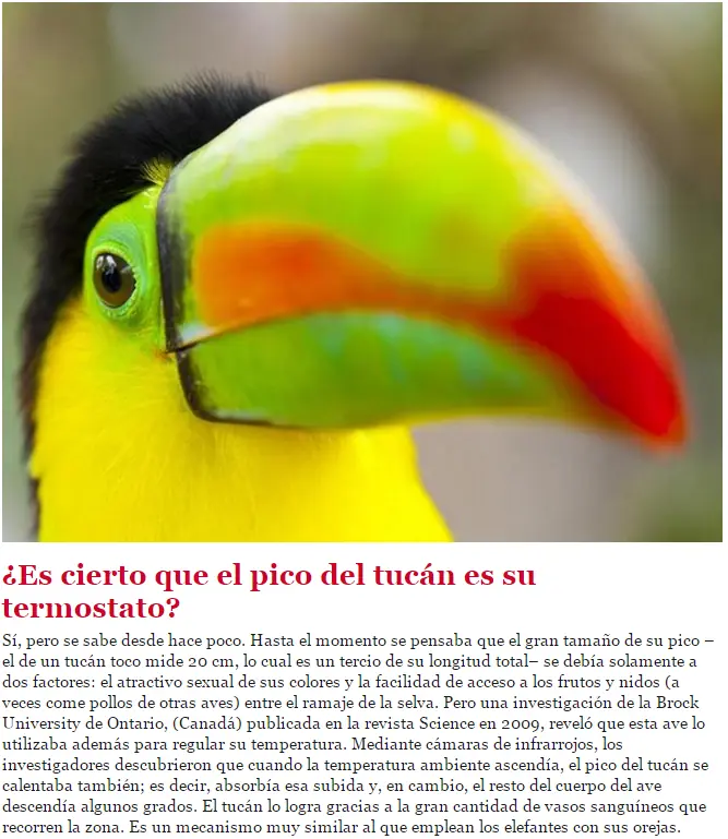 ¿Por qué canta el Gallo y otras aves al salir el Sol?
