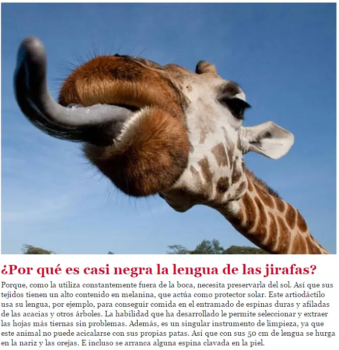 estudios sobre animales
