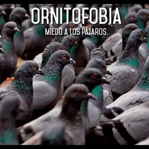 Extrañas fobias. Tenes algunas ?
