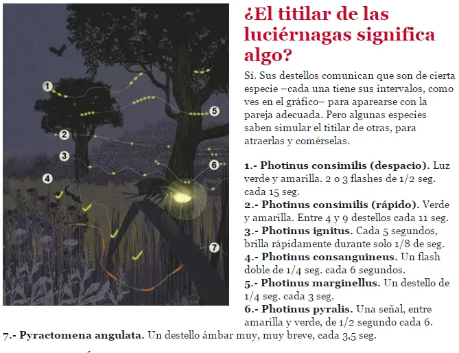 curiosidades de la naturaleza