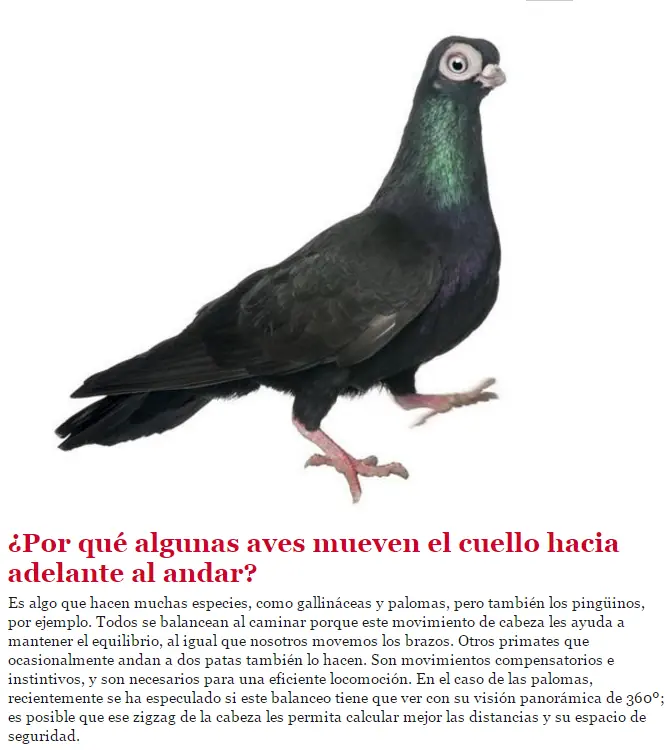 biologia