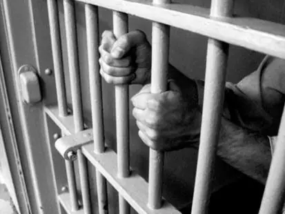 derecho penal derecho penal