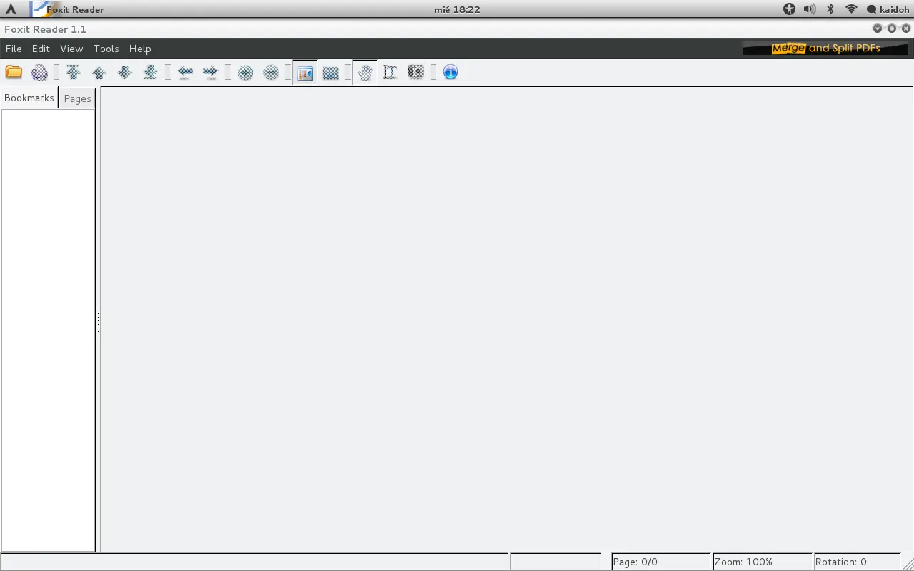lector pdf