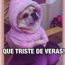 memes