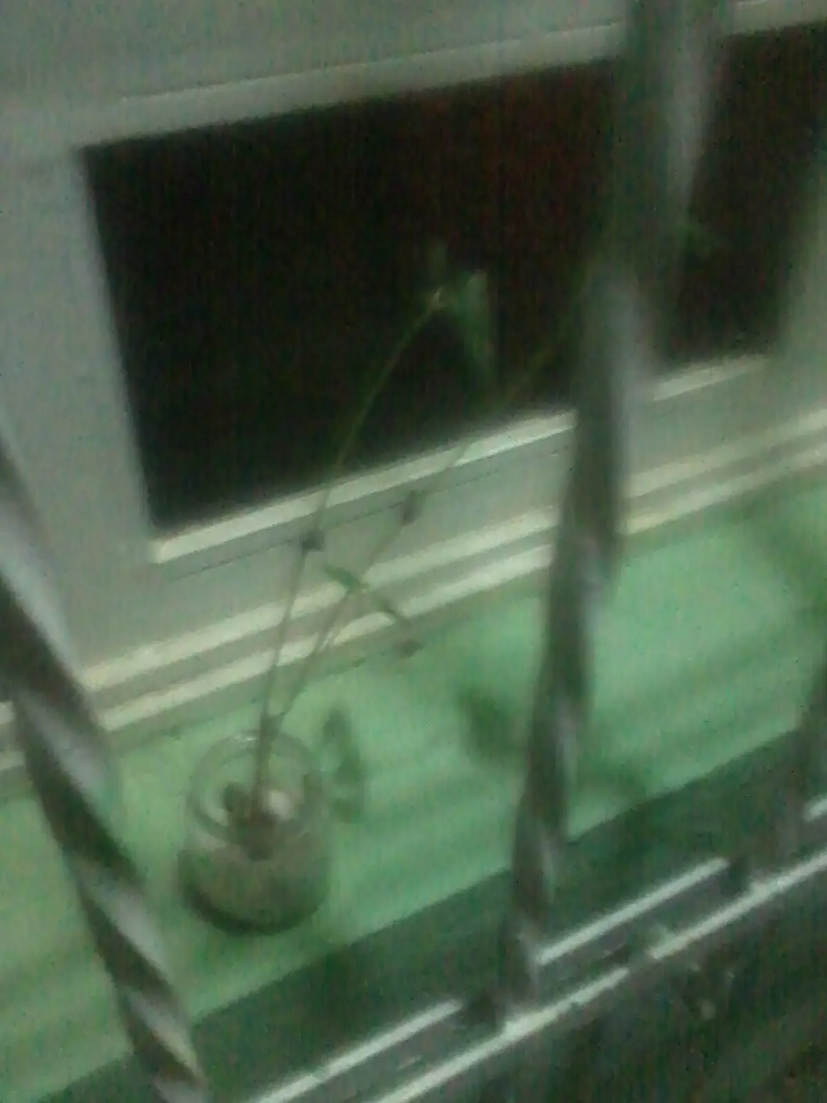 sembrar