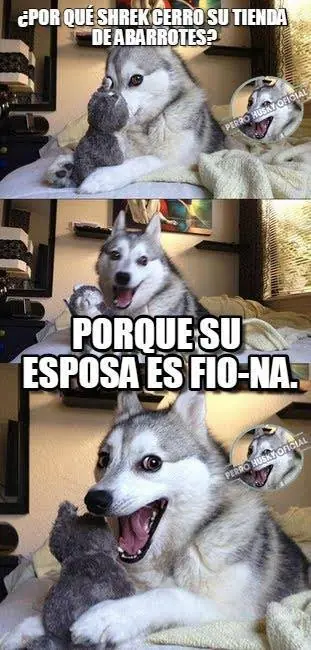 Los mejores memes del perro Husky