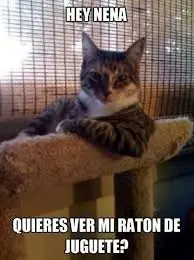 memes los mejores solamente