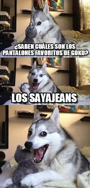 Los mejores memes del perro Husky