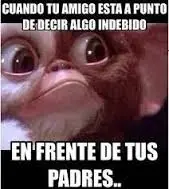 solamente