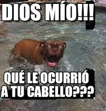 Memes los mejores solamente
