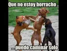 solamente