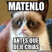 Memes los mejores solamente
