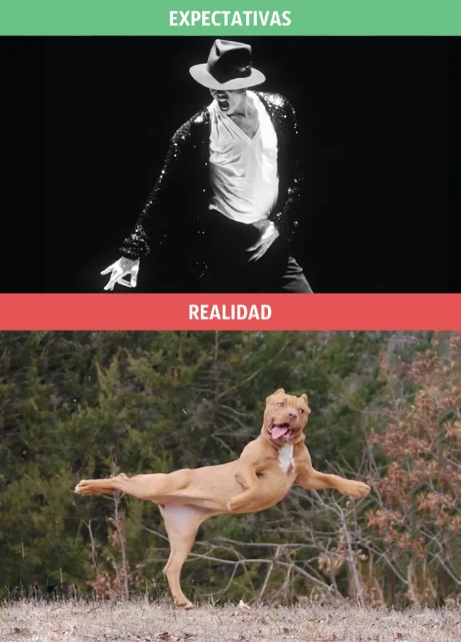 espectativas