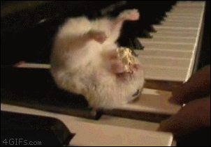 Los Gifs