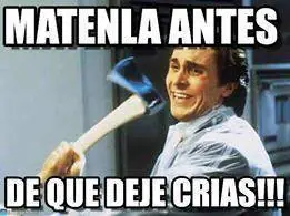 Memes los mejores solamente