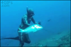 Los Gifs mas Divertidos pasa que te saco una Sonrisa 79º