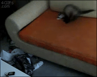 Los Gifs