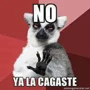memes los mejores solamente