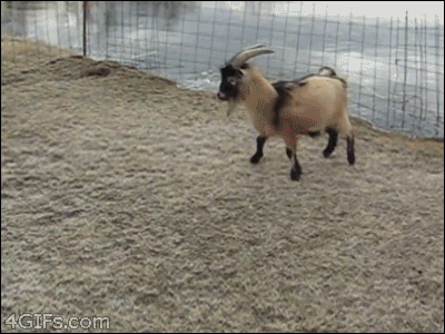 pasa que te saco