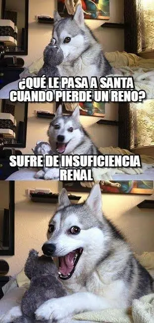 husky