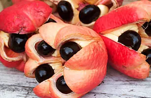 peligrosa peligrosa