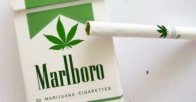 Cigarrillos de marihuana,nueva apuesta en ventas de Marlboro