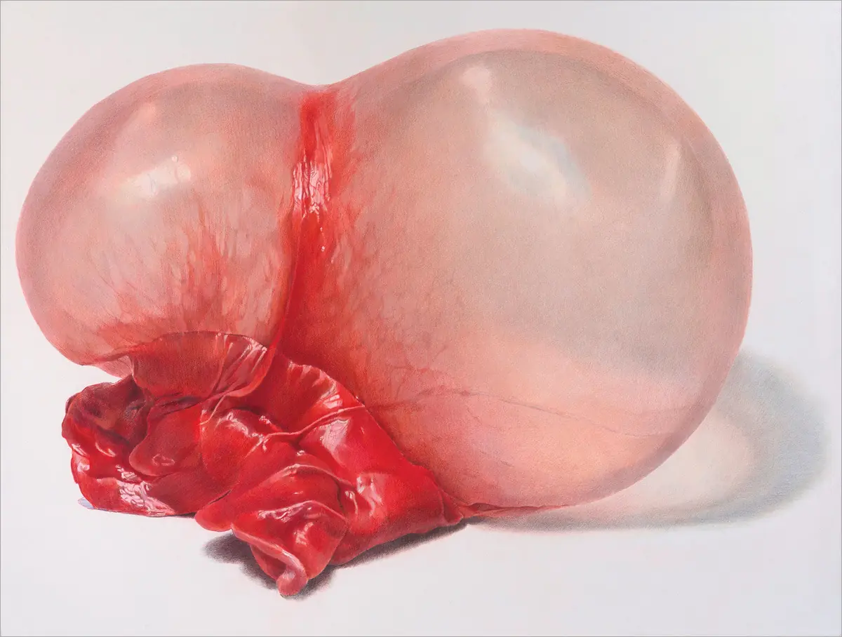 Globos de chicle y bocas hiperrealistas de Julia Randall