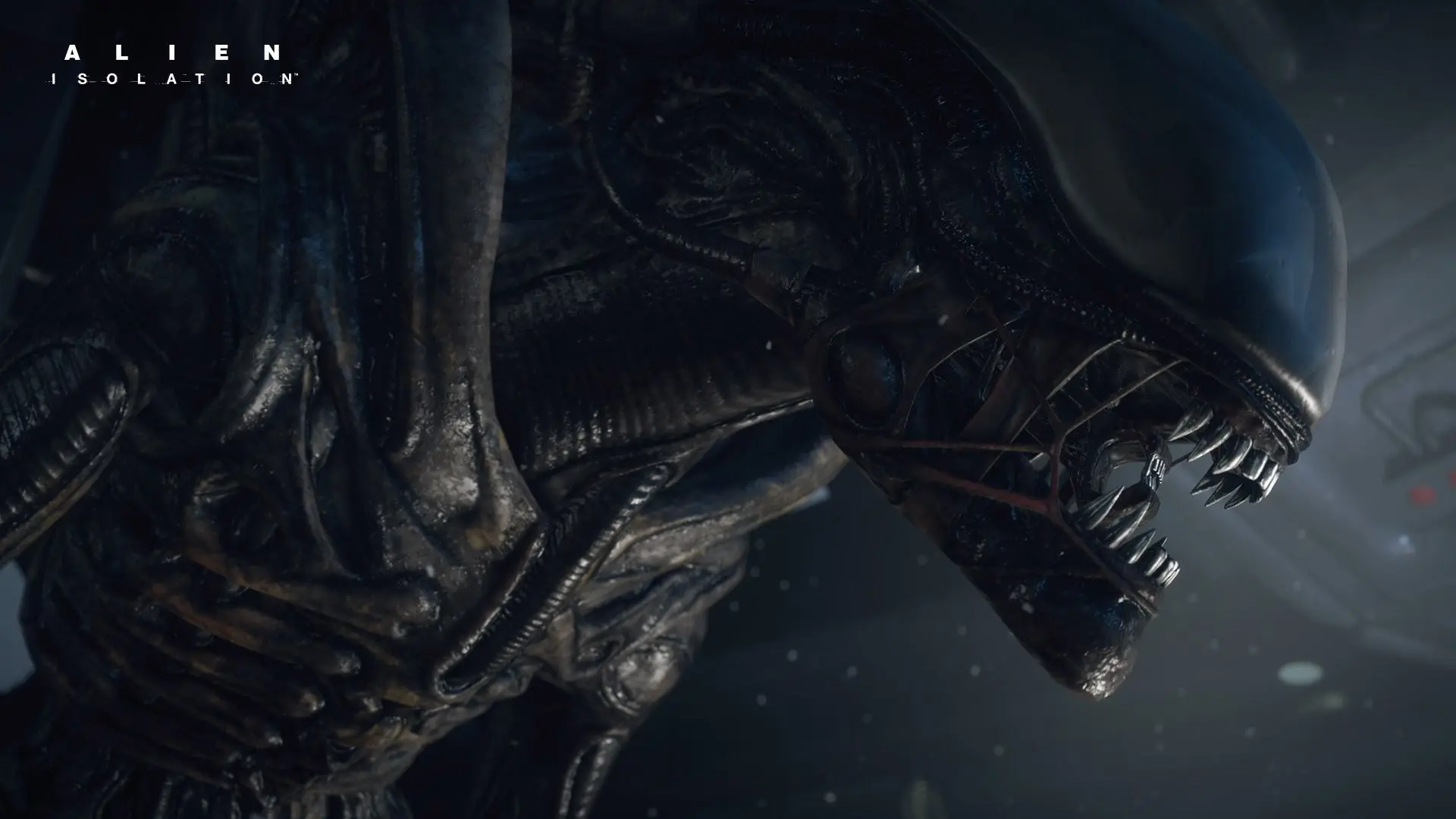 Xenomorfos o Aliens [ info ]