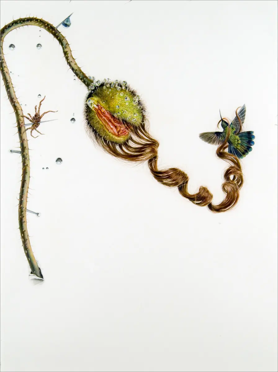 Surrealismo