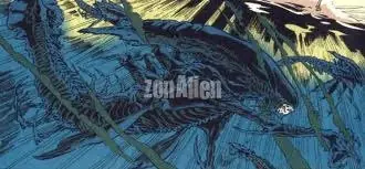 Xenomorfos o Aliens [ info ]