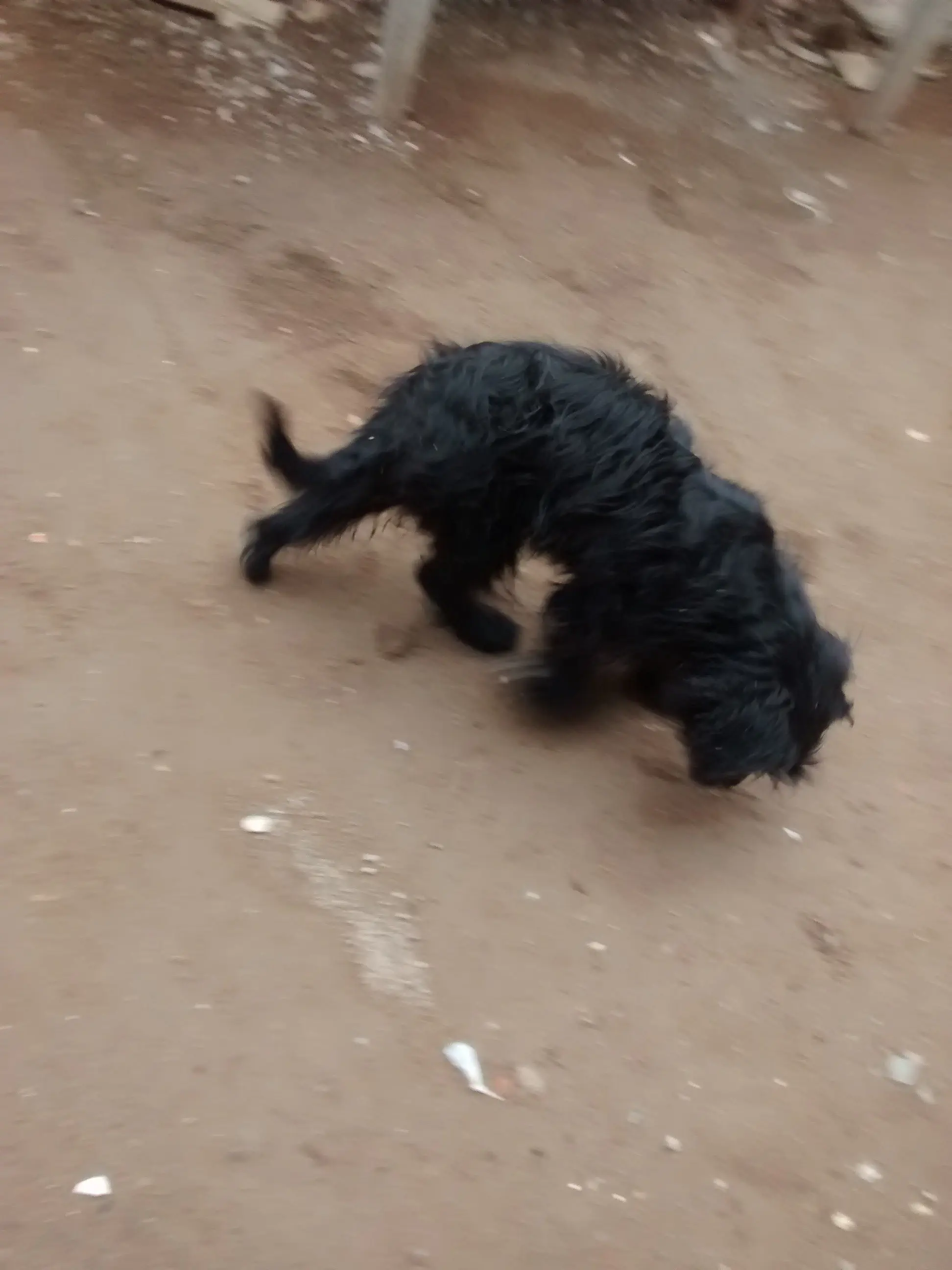 Me hice el zapato con cuchilla del Joker