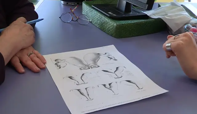 vagina