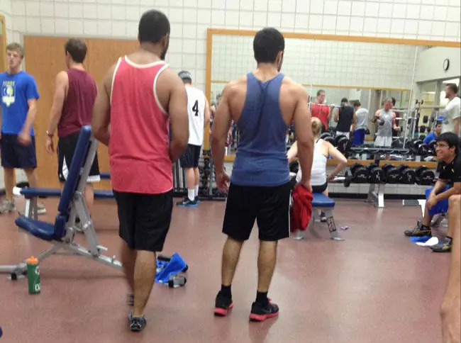 musculos