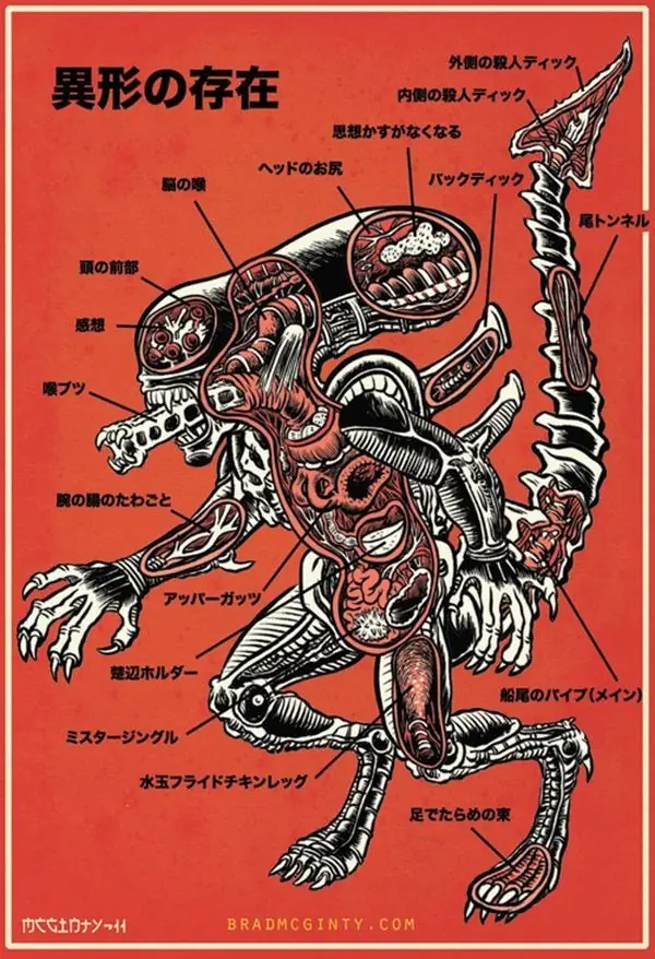 xenomorfo