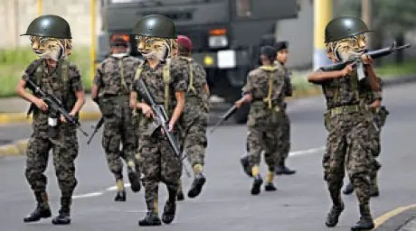 ejercito argentino