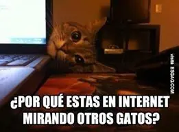 maquinolas