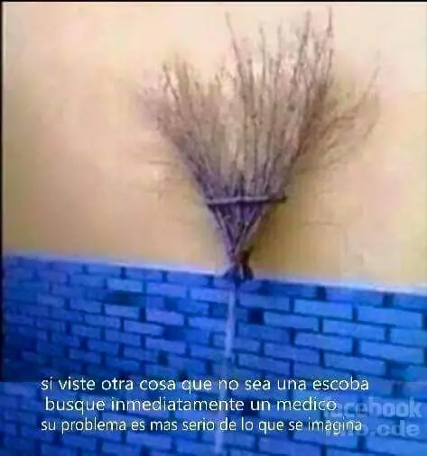 imagenes