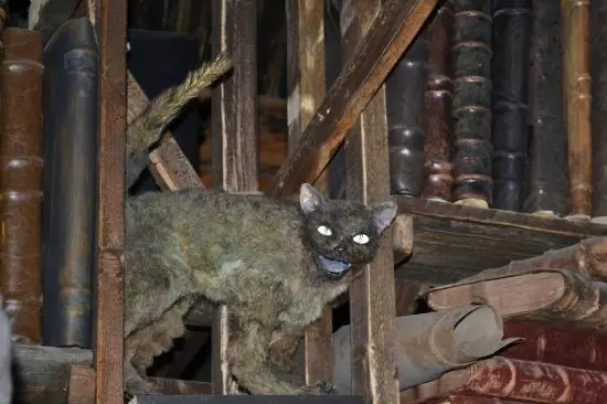 El aterrador museo de la alquimia de Praga