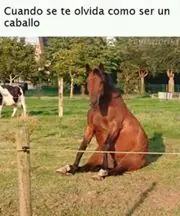 humor