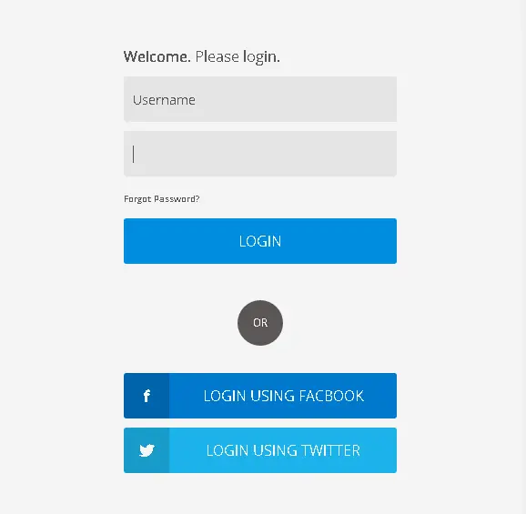 Login Form
