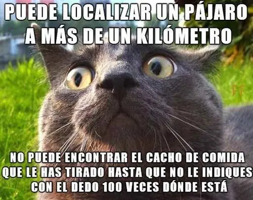 imagenes