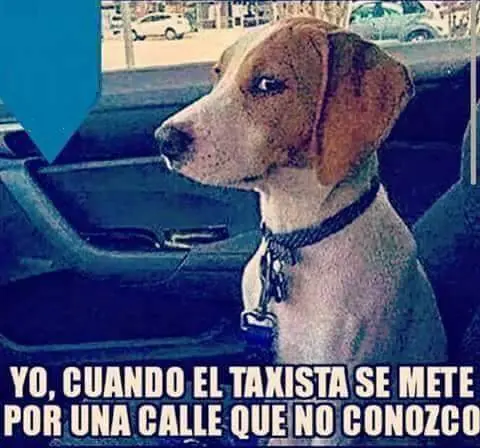 imagenes