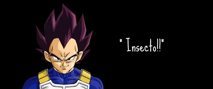 Vegeta, frases del príncipe Saiyajin!