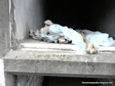 tu vieja en borceguies tu vieja en borceguies