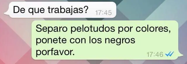 humor whatsapp