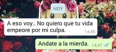humor whatsapp