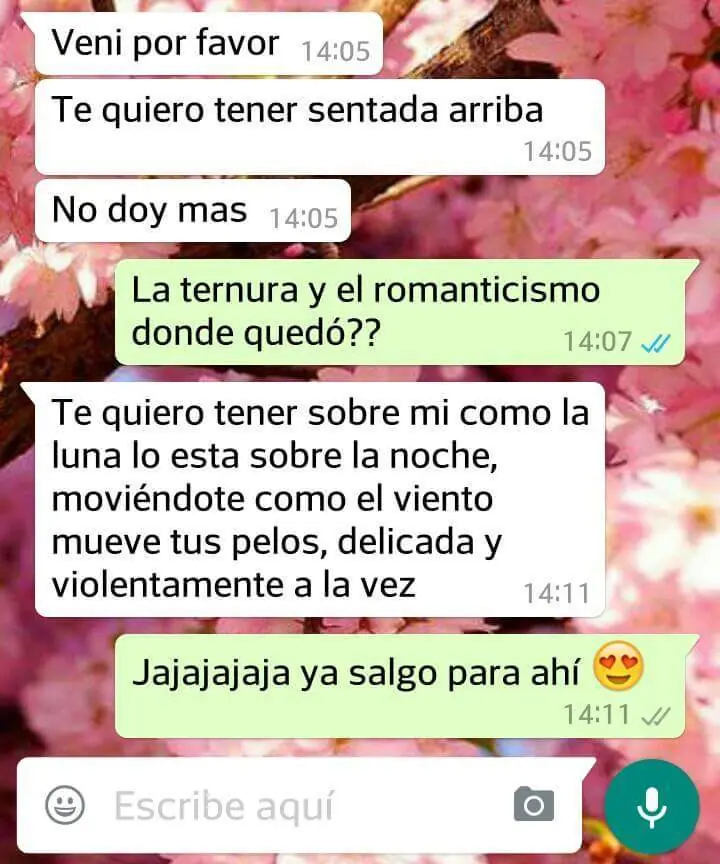 chat risa