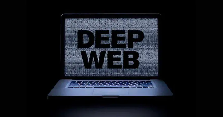Deep Web curiosidades, contenidos y peligros (Infografía)