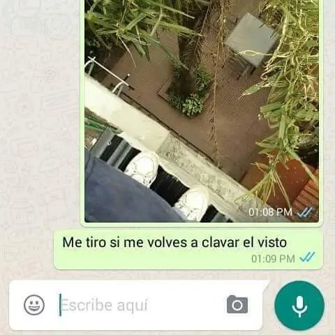 chat risa
