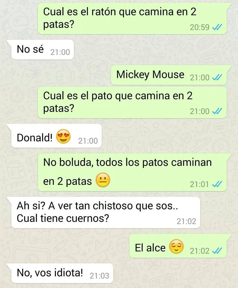 chat whatsapp